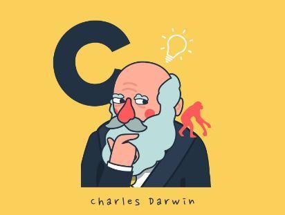 Darwin quiz